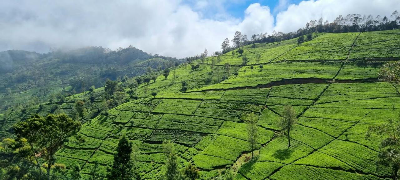 Blue Moon Hotel Nuwara Eliya Luaran gambar